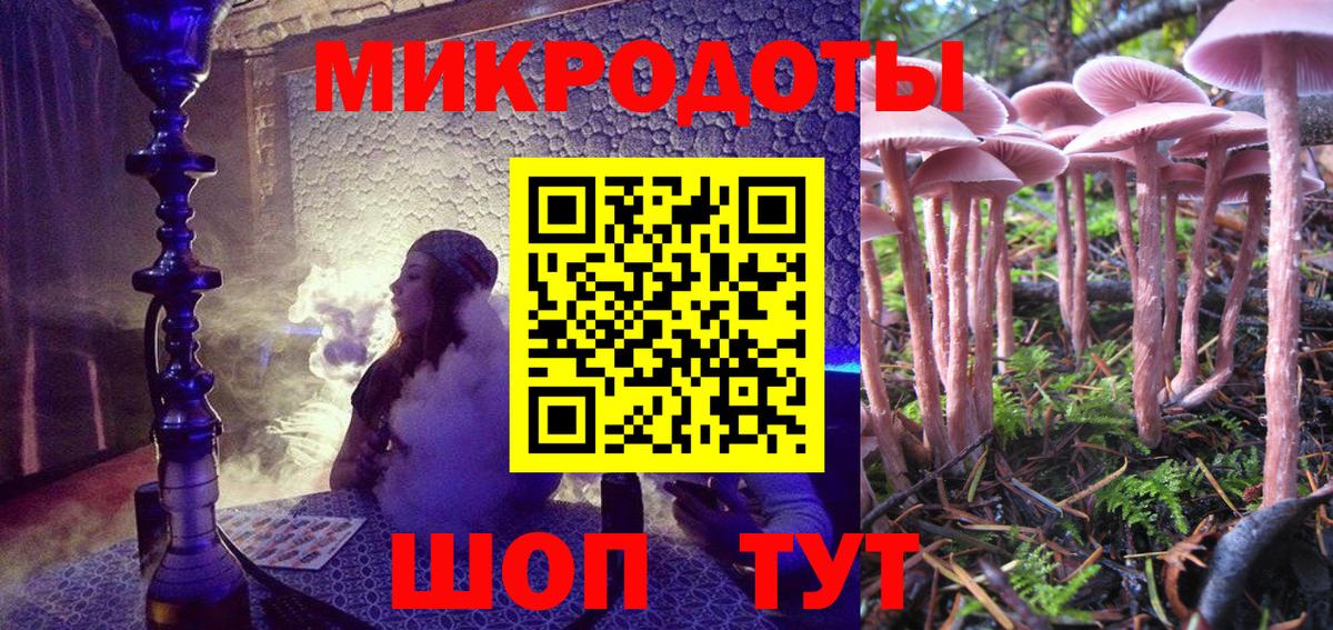 Псилоцибиновые грибы прущие грибы Вологда