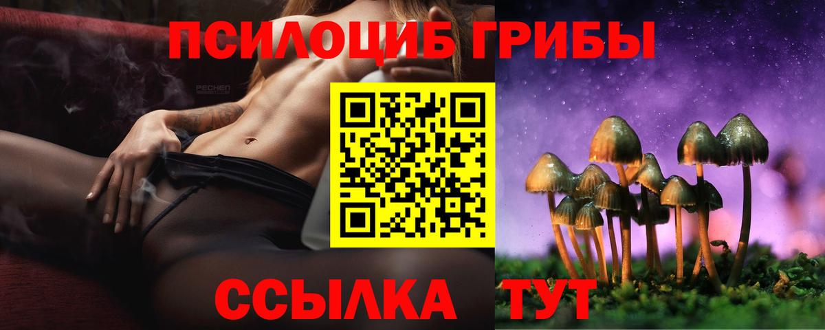 Псилоцибиновые грибы Psilocybe  Вход с VPN  Псилоцибиновые грибы Magic Shrooms  Вологда 